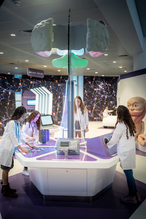 פעילות קיץ באכנודע, לגדול